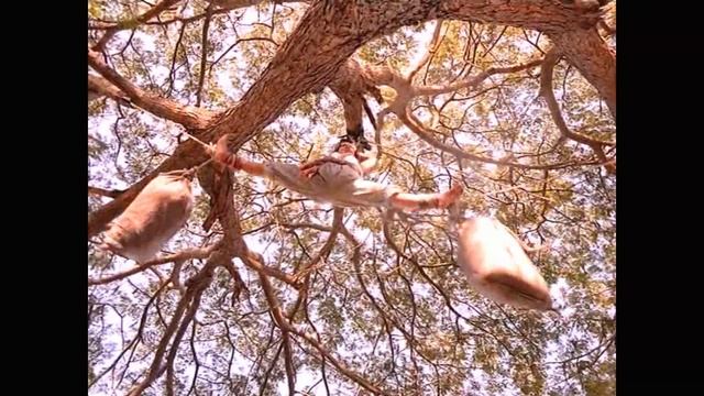 Loren Avedon The King of the Kickboxers смотреть онлайн