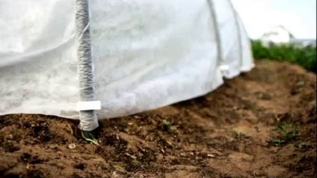 Парник 'Подснежник' 1