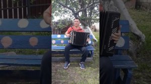 "Зорька алая" на баяне. Делаю первые шаги,  осваиваю баян.