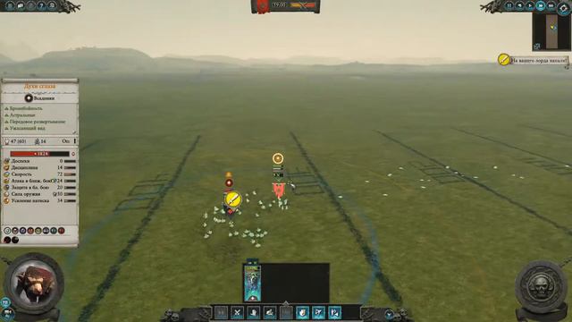 Testing Units in Custom Battles Undead vs Skaven H-P смотреть онлайн