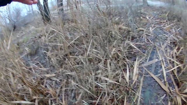 Рыбалка выходного дня на щуку смотреть онлайн