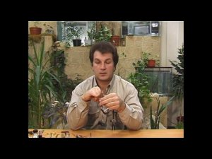 Установка хвостика. Затяжная петля