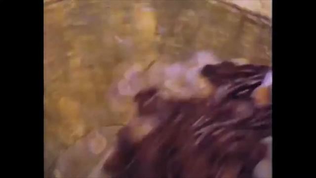 Bytes de Informação: Streaming смотреть онлайн