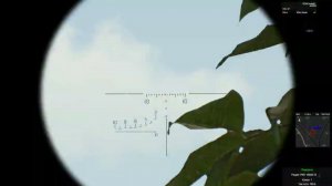 Выстрел в тумане