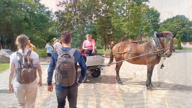 المدارس والدروس في بيلاروس (روسيا البيضاء) Школа языков в Беларуси смотреть онлайн