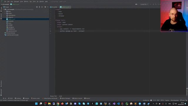DevOps Workshop: работаем с GitLab, создаем GitLab CI для Django проекта смотреть онлайн