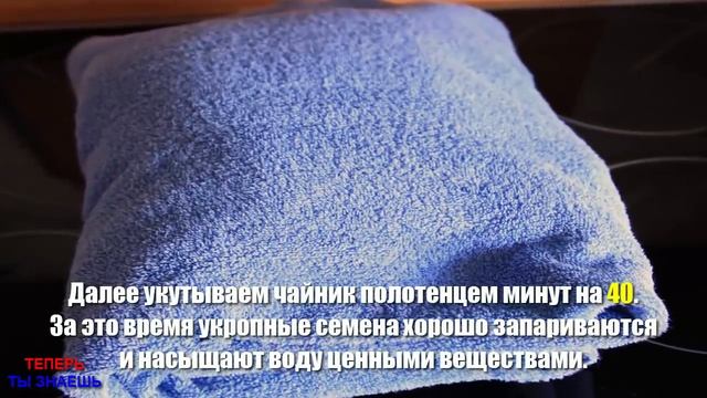 СЕМЕНА ЖИЗНИ! Всего ОДНА Ложка В ДЕНЬ - и ПОЛНЫЙ ПОРЯДОК! ВРАЧИ Такого НЕ ОЖИДАЛИ... смотреть онлайн