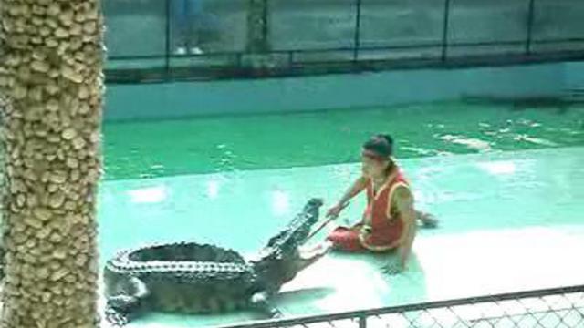 пхукет зоо2 смотреть онлайн