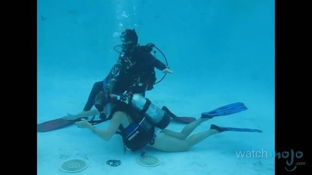 Scuba Diving: Underwater Skills And Lessons