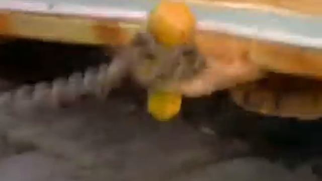 Spellbinder S02E26 смотреть онлайн