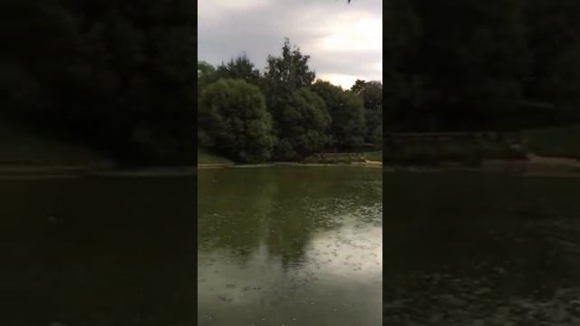 Троицкий пруд (остаток каскадных прудов усадьбы Толочановых 17 век) Москва. Коньково. смотреть онлайн