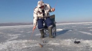 Зимняя рыбалка в Приморье. Ловля селёдки в тавричанке.снасть на селёдку своими руками.