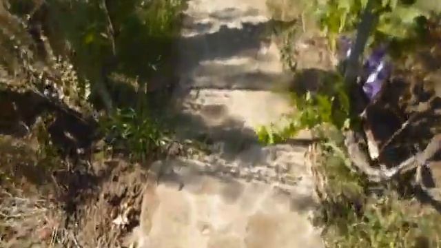 Живопись и Рисование