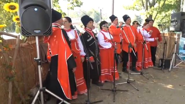 Фестиваль риса в Славянске-на-Кубани смотреть онлайн