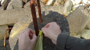 Ловля бычка весной на Черном море