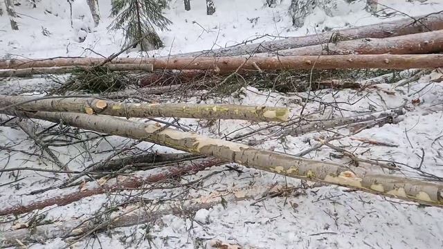В мороз на волок , ТДТ 55. смотреть онлайн