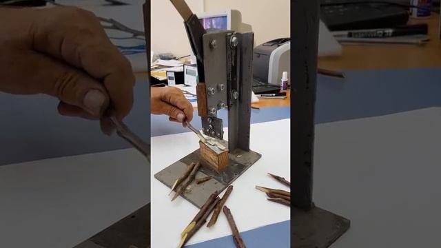 Зимняя прививка плодовых смотреть онлайн