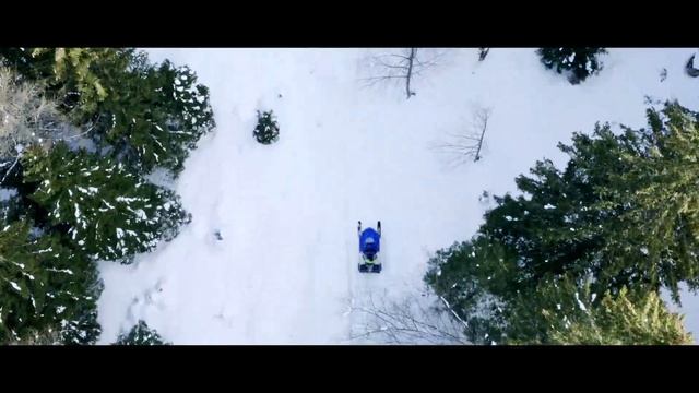 2022 Alpina Superclass 1.2L preview смотреть онлайн