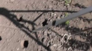 Посадка картофеля ( картошки ) сдвоенными рядами. Приспособление ( инструмент ) сажалка для посадки