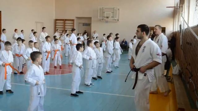 Аттестация на пояса каратэ киокушинкайкан 10.03.2019 смотреть онлайн