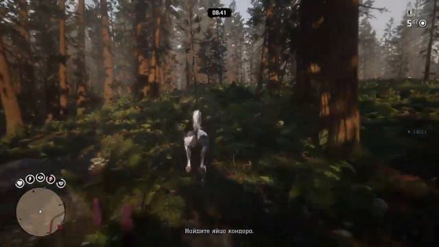 RDO [ru] яйцо кондора