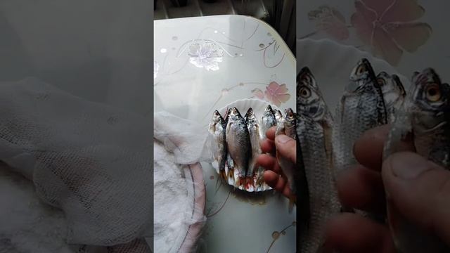 Рыбаки-Путешественники