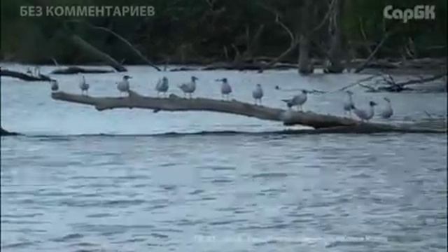 Места для хорошей рыбалки смотреть онлайн