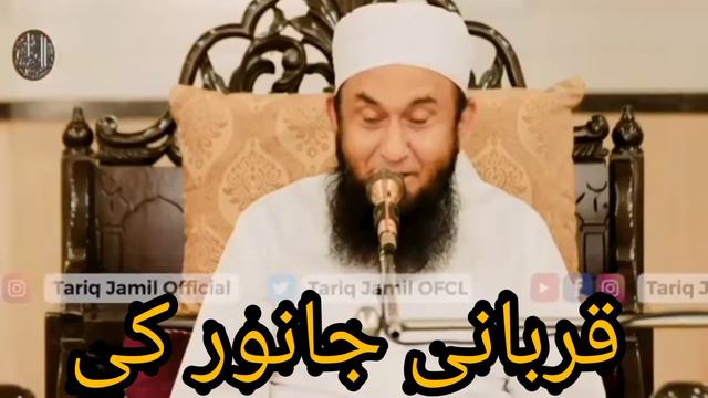 qorbani janwar ka #mulanatariq jameel new bayan/6/7/2022 смотреть онлайн