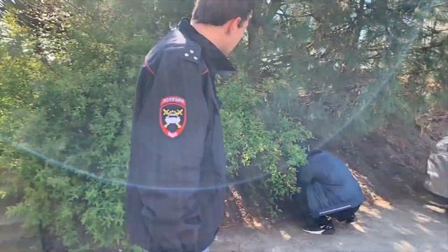 Закладки во время корона вируса смотреть онлайн