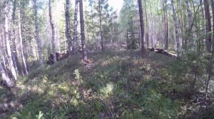 Металлокоп за Уралом. Траки. Отличный результат.