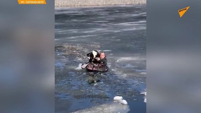 Người đàn ông cứu sống chú chó thoát khỏi vùng nước đóng băng смотреть онлайн