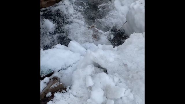 Дача смотреть онлайн