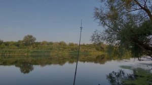 ОХОТА НА СОМА | Вечерняя рыбалка на реке Сура