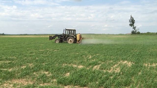 Обработка яровой пшеницы гербицидом Магнум при помощи трактора МТЗ 82 смотреть онлайн