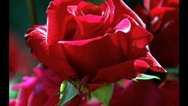 Хорошее время утром вставать! смотреть онлайн