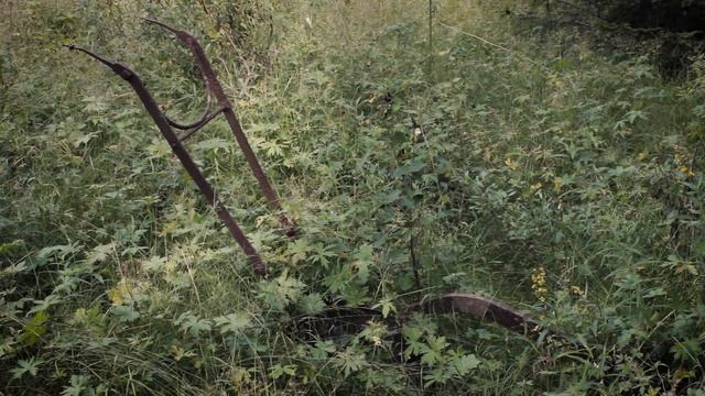 НЕИЗВЕДАННАЯ КАРЕЛИЯ №2. Где бродят лешие. Паанаярви. смотреть онлайн