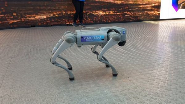 Робособака