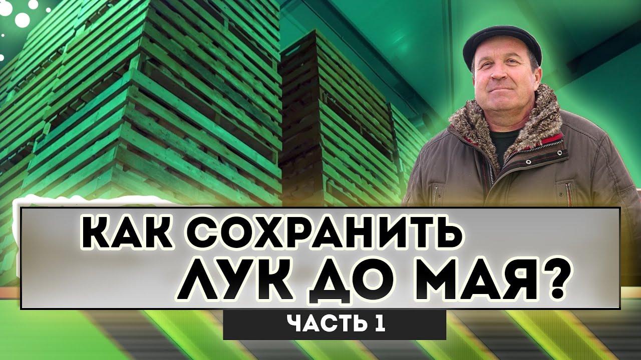 Как сохранить лук до мая? смотреть онлайн