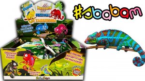 СОБРАЛИ ВСЕХ РЕДКИХ  / ГЕККОНЫ и ХАМЕЛЕОНЫ от СБАБАМ