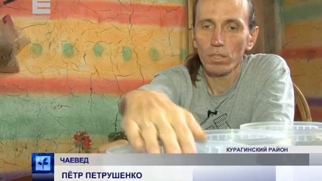 Чай из сибирских трав (Енисей Минусинск) смотреть онлайн