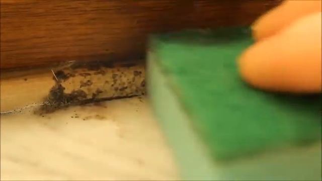 GTX BELLINZONI 0,5 л. смотреть онлайн