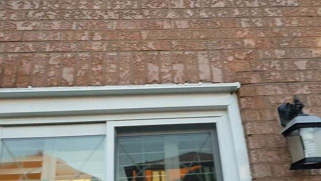 How to remove wasp/bee nest смотреть онлайн
