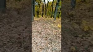 Прогулка Краснодар-Горячий ключ.Собираем грибы!!!