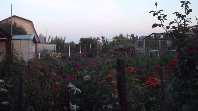 июль - август 2019 Ростоши Оренбург смотреть онлайн