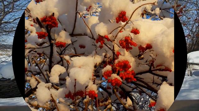 Калина. смотреть онлайн