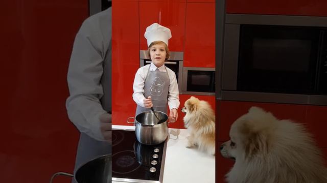 Очень голодный шпиц. Hungry small dog. смотреть онлайн