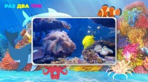 Давай узнаем, какие животные живут в морях и океанах! Учим морских животных по системе Монтессори.