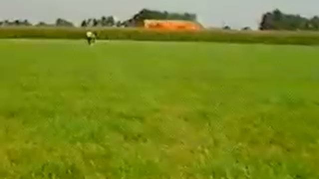 Drathaar training - Обучение на Дратхаар смотреть онлайн