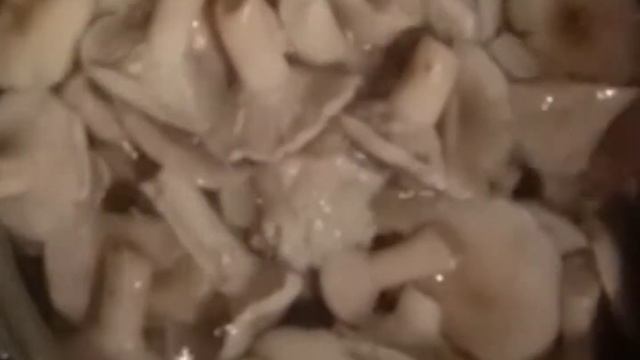 Самоделкин