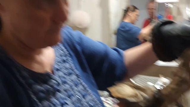 18.07.23. малый цапл... закрытый перелом... смотреть онлайн